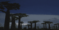 storm storming GIF