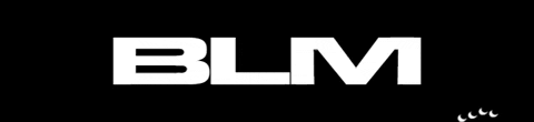 blmoficial giphygifmaker moda blm camiseta GIF