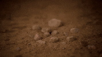 Look Down Pop Up GIF by Pokémon