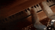 adriangoleby cat cats drone mirror GIF