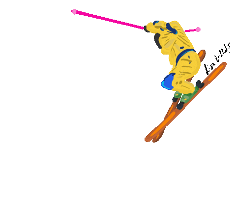 lizzeilhofer giphyupload sports cool winter Sticker