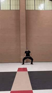 thatguywhospins Sabre colorguard thatguywhospins GIF