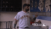 sf 137 GIF by MLB