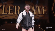 wwe 2k19 GIF