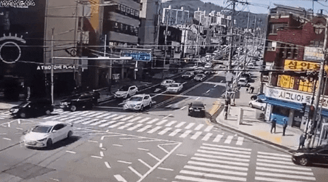 wikitree giphyupload GIF