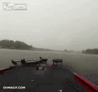 water rain GIF