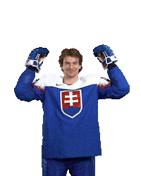 Ice Hockey Goal Sticker by International Ice Hockey Federation