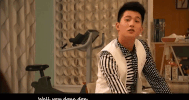 yang yang please GIF