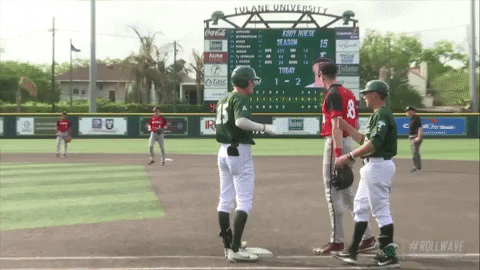 baseball wave GIF by GreenWave