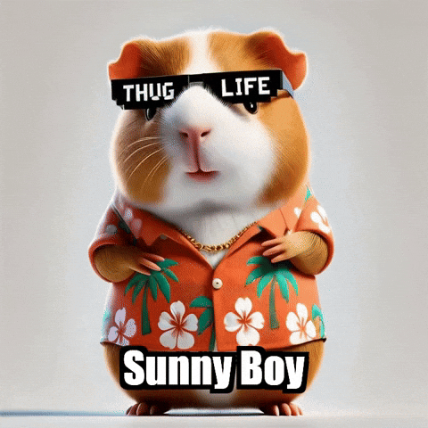 Sunbathing Guinea Pig GIF by Guinea Gambino