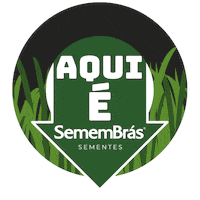 Semembras Sticker by SememBrás Sementes