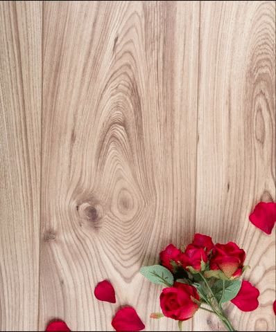 ericapuk giphyupload GIF