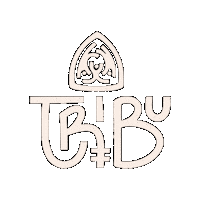 Sinergia_Tribu tribu sinergia sinergiatribu tribu sinergia Sticker