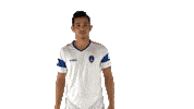 ddfc delhidynamos Sticker by Indian Super League
