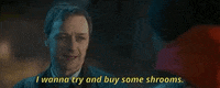 james mcavoy shrooms GIF by Saturday Night Live