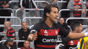 Western Sydney Wanderers Wsw GIF by wswanderersfc