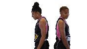 Basketball Hoops Sticker by Basket_fi