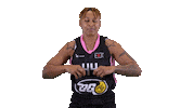 Basketball Hoops Sticker by Basket_fi