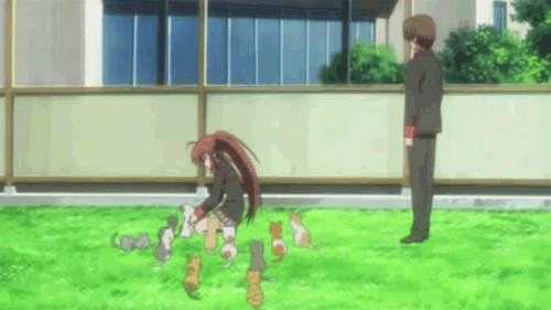 cat lady GIF