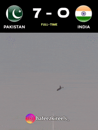 Indian Air Force Samosa GIF