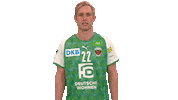Handball-Bundesliga Heart Sticker by LIQUI MOLY HBL