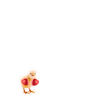 ADMNutricaoAnimal admnutricaoanimal Sticker