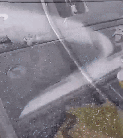 giphyupload GIF