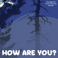 Flying How Are You GIF by VeeFriends