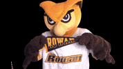 Ncaa Mascot GIF by Rowan University
