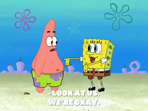 season 8 episode 20 GIF by SpongeBob SquarePants