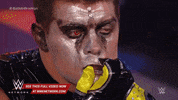 wwe sports wwe wrestling 2015 GIF