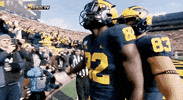 Go Blue College Football GIF by Michigan Athletics