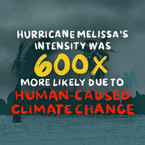 Climate Change Storm GIF by INTO ACTION