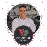 viabrasilveiculos logo brasil carros jorge Sticker
