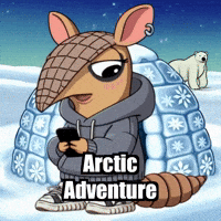 Armadillo Igloo GIF by Chillo Dillo