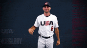 Pro GIF by USA Baseball
