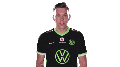 E Sports Sport Sticker by VfL Wolfsburg