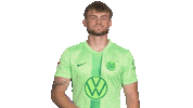 Germany Deal With It Sticker by VfL Wolfsburg
