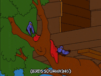 episode 9 birds GIF