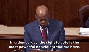 Voting Rights Vote GIF by GIPHY News