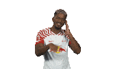 Happy Rb Leipzig Sticker by Bundesliga