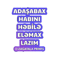 Zaqatala Sticker by Zagatala Prints