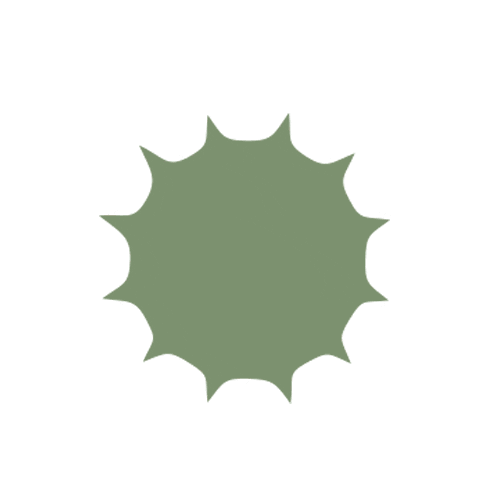 Plant Nut Sticker