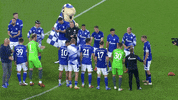 Football Soccer GIF by FC Schalke 04