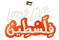 Palestine Sticker