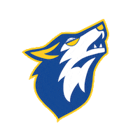 SaintAmandHandball la meute sahph saintamandhandball leslouves Sticker