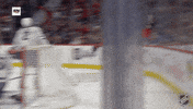 Happy Ottawa Senators GIF by NHL
