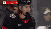Happy Ottawa Senators GIF by NHL