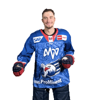 Dance Sticker by Adler Mannheim