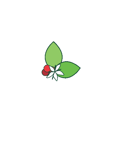 caravelacoffee coffee plant producer calendar Sticker